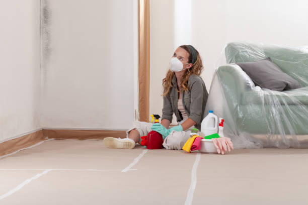 Reliable Mold Remediation contractor in Woodbury, MN by WQB Mold Removal